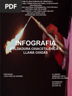 Infografia 3