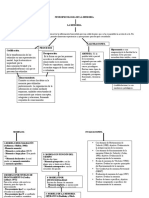 NEUROPSICOLOGIA DE LA MEMORIA Yayaj