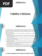 Clase 14 Tuberia Forzada