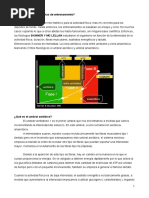 Entrenamiento Resistencia