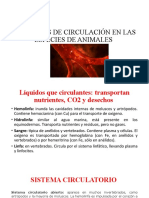 Funciones de Circulación en Las Especies de Animales