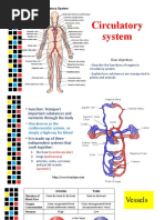 Circulatory System