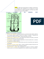 ACTIVIDADES DE OXICORTE Se Utiliza Gases Almacenados en Cilindros A Alta Presión