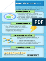 Infografía Biología - Biomoléculas