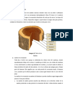 Partes de La Madera