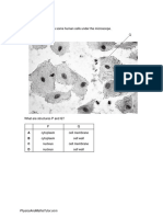 Organisation of The Organism (Multiple Choice) 3 QP