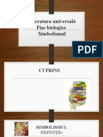 Simbolismul PPT 1