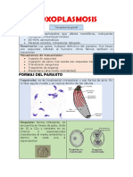 Resumen TOXOPLASMOSIS