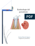 PDF Embriologia Del Periodonto Compress