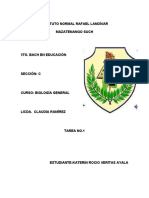 Diferencias Entre Celulas Eucariotas y Procariotas