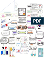 Fisica Termica Mapa 3