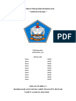 Laporan Praktikum Struktur Sel Kelas Xi