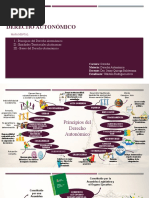 Mapa Mental - Der. Autonómico