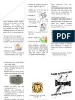 Dengue Pamphlet