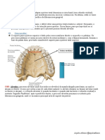 00 Anatomia Protetica Protese Total 1 @aquilaafonso