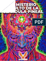 El Misterio Oculto de La Glándula Pineal Ebook