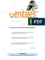 Genital Femenino - Exploración Física