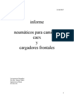 Informe de Neumaticos CAEX Y CARGADORES