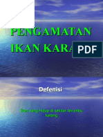 Ikan Karang