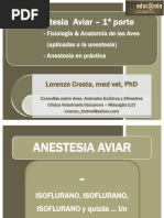 Anestesia Aviar - Parte 1 - Lorenzo