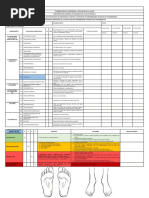 6.2 Check List para Exploracion Del Pie PDF