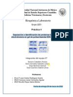 Equipo 7 Práctica 4 Electroforesis Revisado