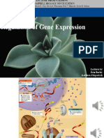 18 - 유전자의 발현 조절