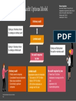 Basics of The Swiss Audit Options Model