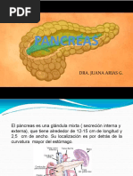 PANCREAS