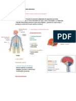 Resumo de Generalidades Do Sistema Nervoso
