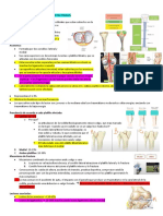 Traumatología 12