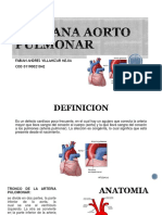 Ventana Aorto Pulmonar