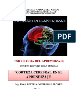 Cuarta Lectura - Corteza Cerebral en El Aprendizaje