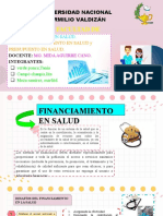 Financiamineto en Sector Salud Grupo 1