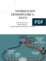 Monitorizacion Picco