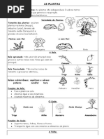 E.M. - As Plantas