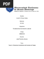 Tarea 3.1. Elementos Constitutivos Del Contrato de Trabajo