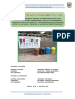 Informe de Impacto Ambiental N°04