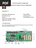 WT Experiment 1.1