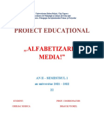 Alfabetizarea Media