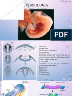 Embriología Del Sistema Nervioso Central