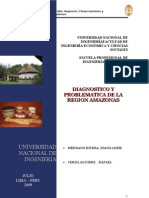 Diagnostico y Problemática de La Región Amazonas