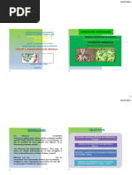 Aspectos Basicos de Producción de Tuberosas y Raices