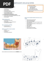 Clasificación de Los Quistes