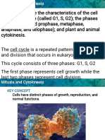 1 Cell Cycle