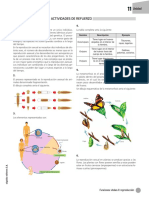 Solucionario Recursos Complementarios U11 Byg1eso