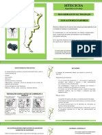 Seguridad en El Trabajo Los Autoelevadores