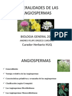 Generalidades de Las Angiospermas