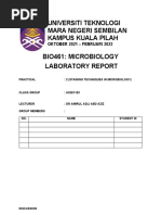 Lab Report Bio461 Practical 2 (Discussion & Conclusion)