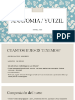 Anatomia Yutzil